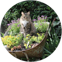 Eileen Thome profile picture